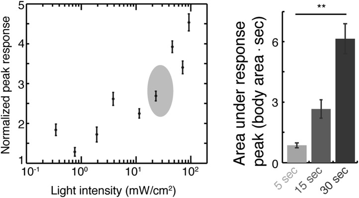 Figure 1—figure supplement 1.