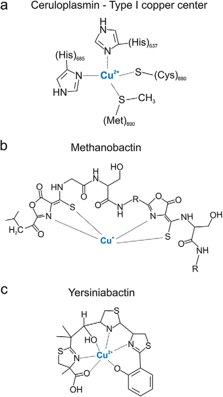 FIGURE 2.