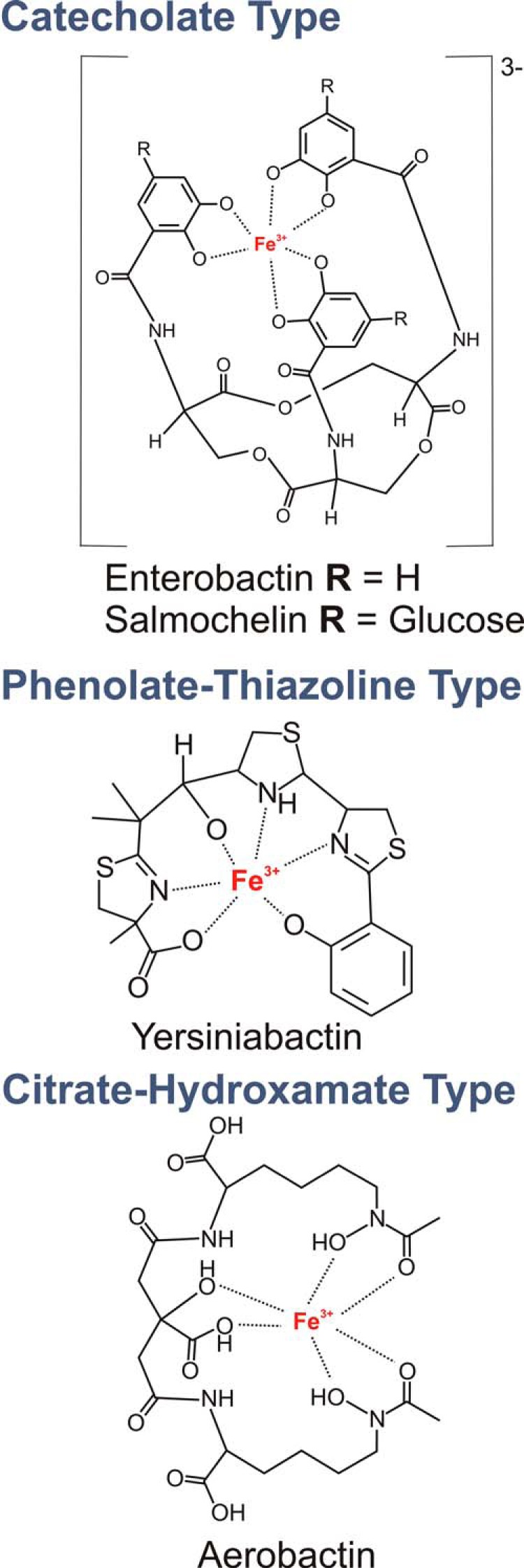 FIGURE 1.