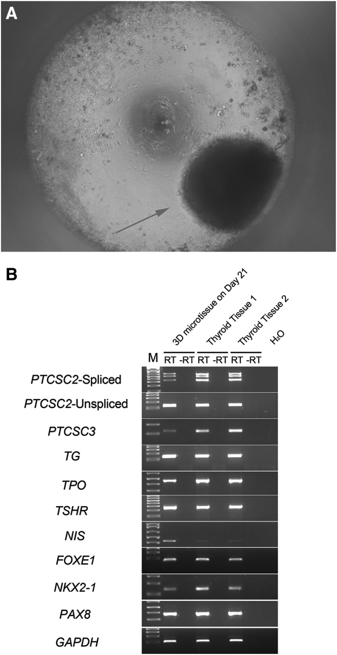 FIG. 5.