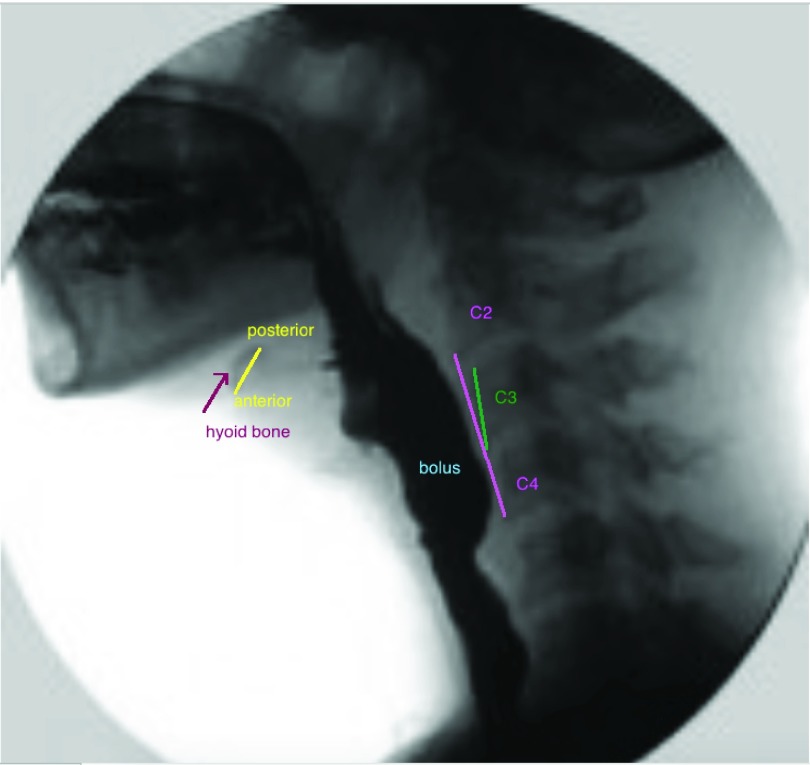 FIGURE 2.