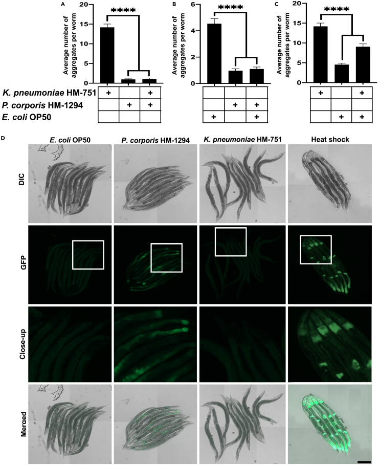 Figure 5