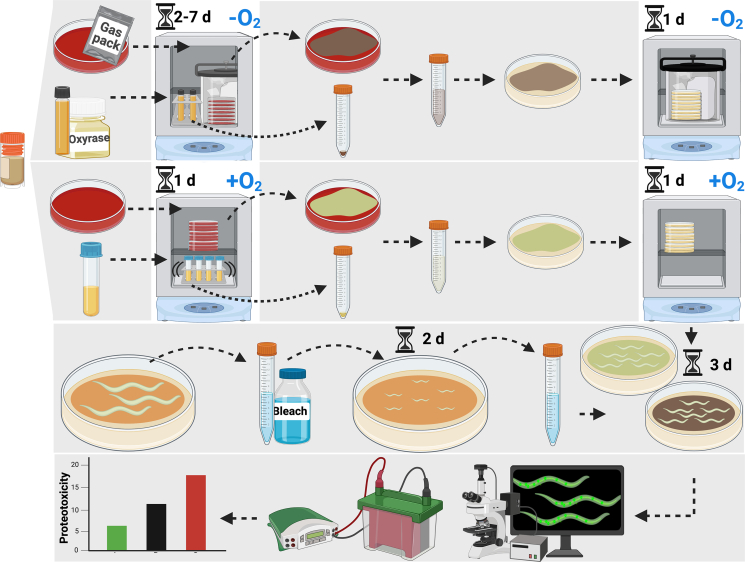 Figure 1