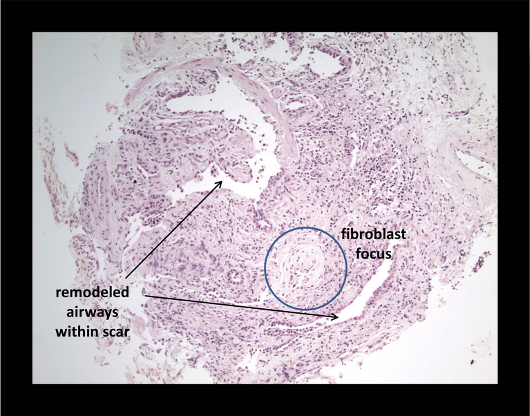 Figure 2