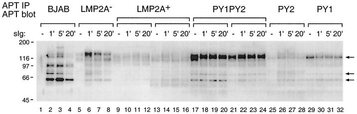 FIG. 3