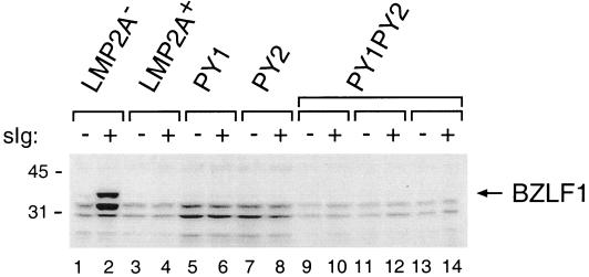 FIG. 5