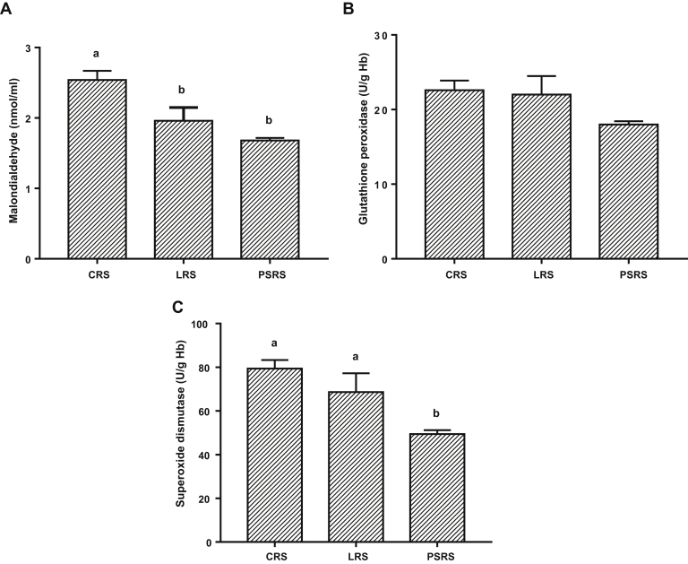 Figure 2