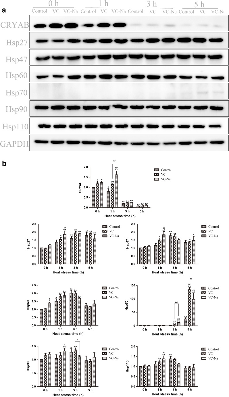 Fig. 7