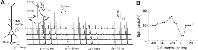 Fig. 5