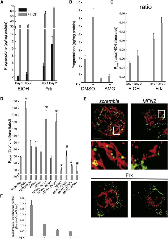 Figure 2