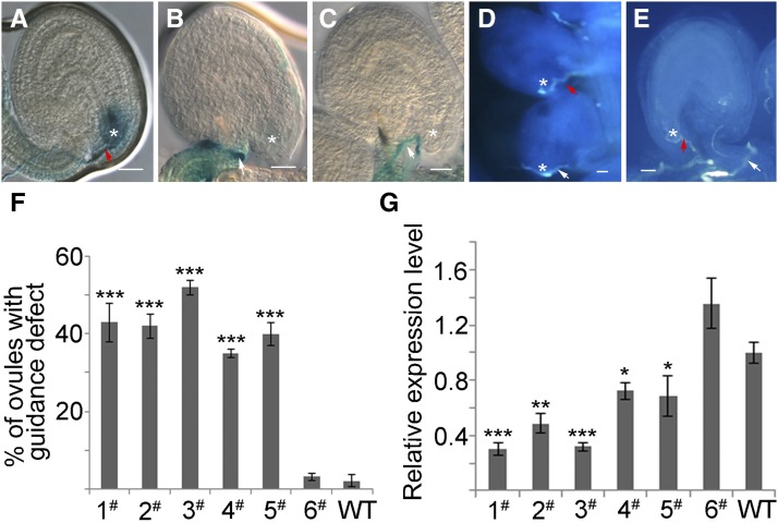 Figure 6.