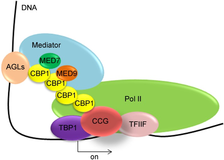 Figure 10.