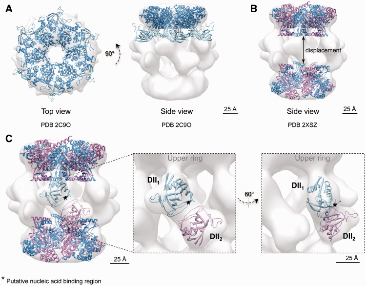 Figure 7.