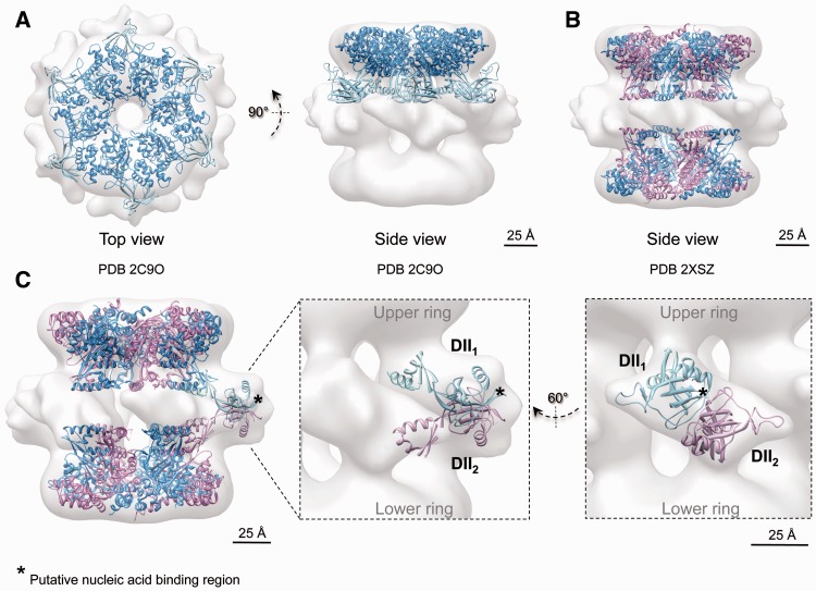 Figure 6.