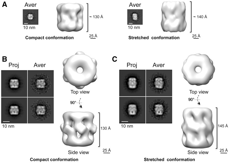 Figure 3.