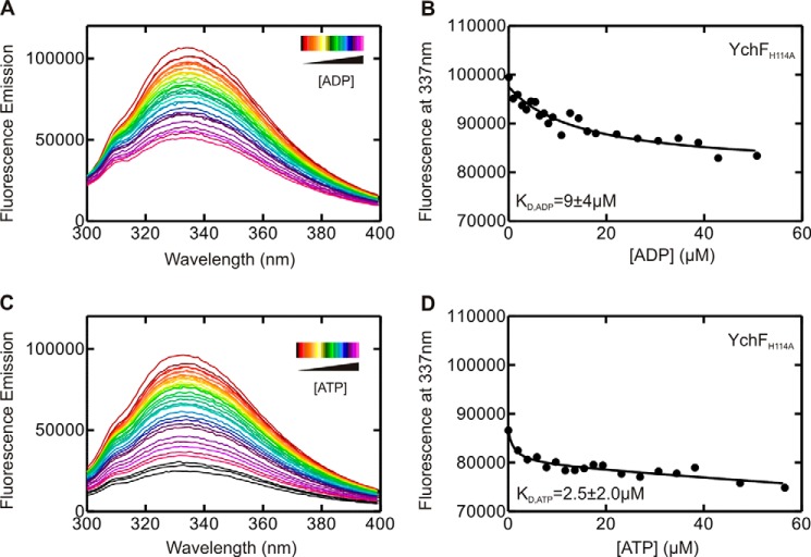 FIGURE 10.