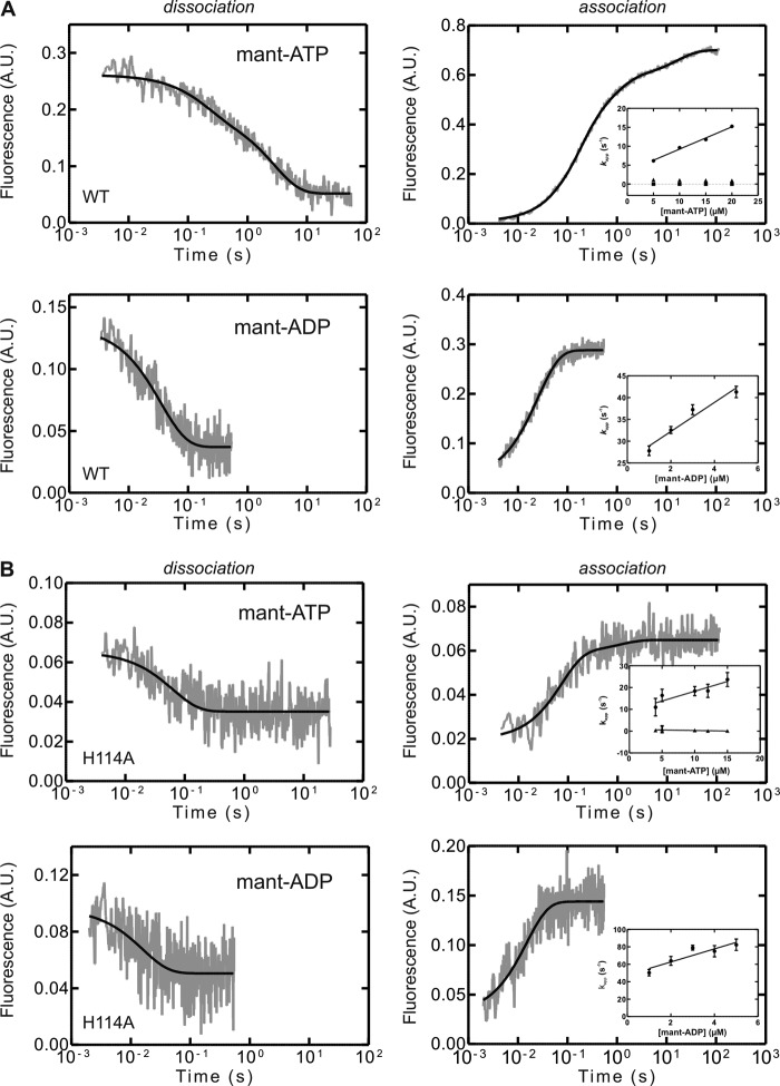 FIGURE 11.