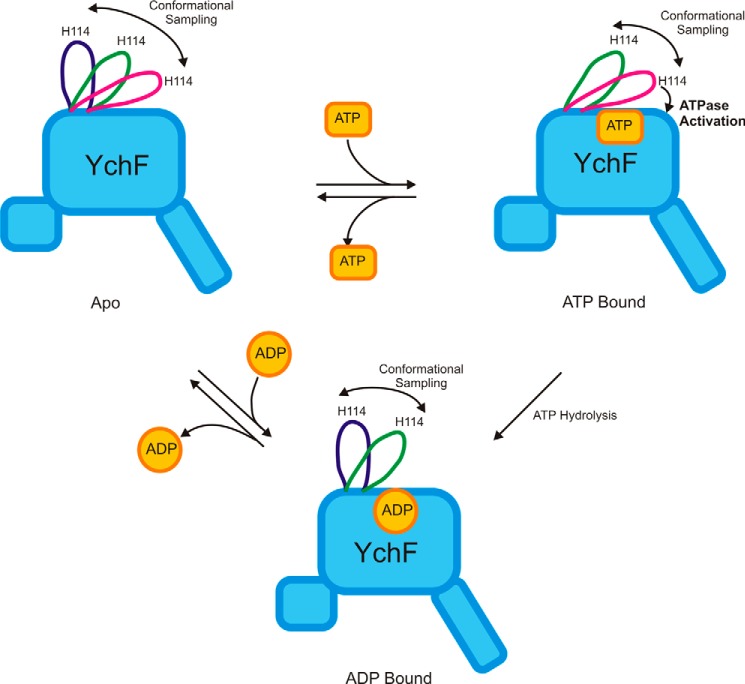 FIGURE 13.