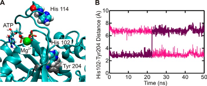 FIGURE 5.