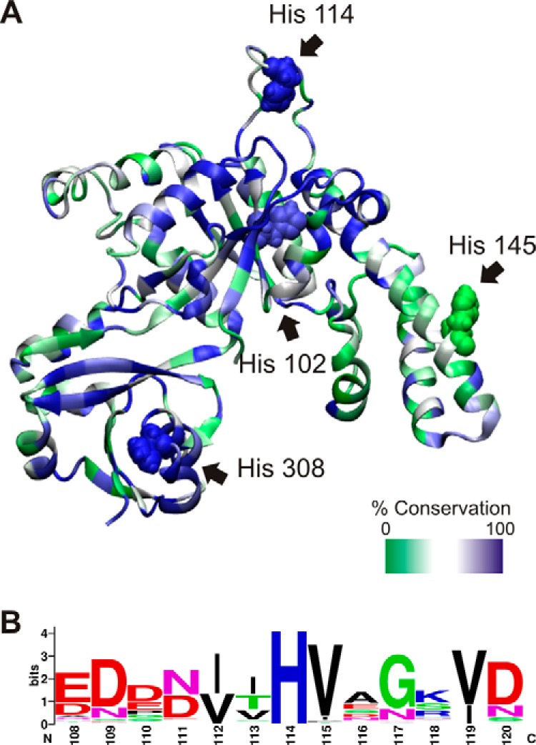 FIGURE 3.