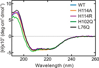 FIGURE 9.