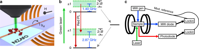 Fig. 1