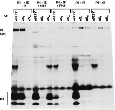 FIG. 5