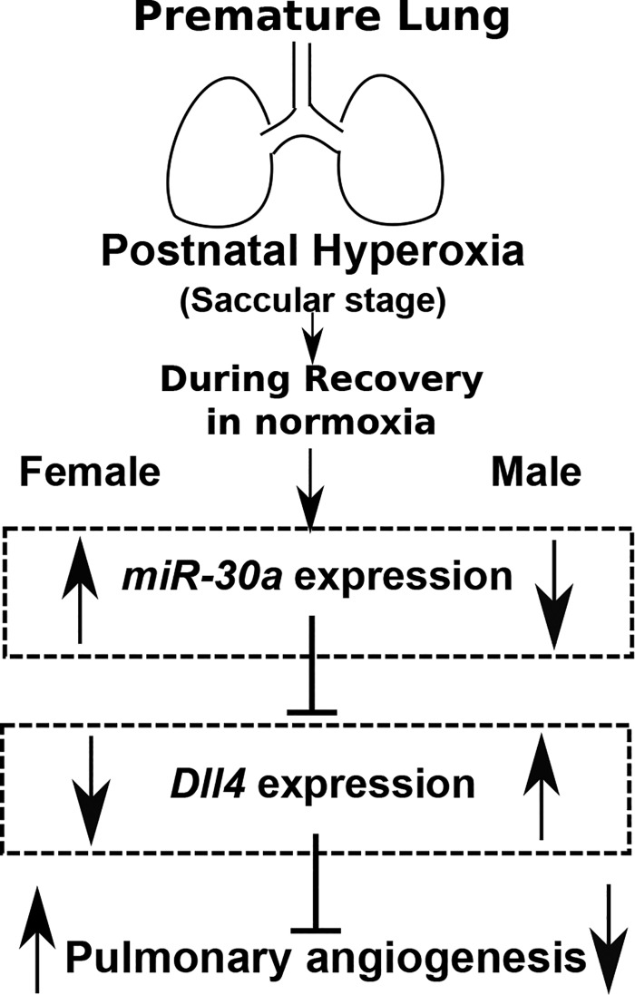 Fig. 11.