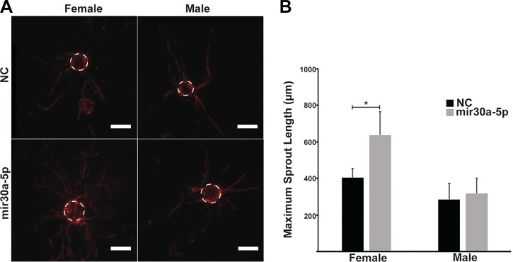 Fig. 9.