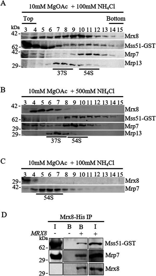 FIGURE 6: