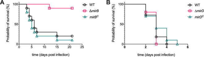 FIG 6