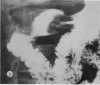 1502-4