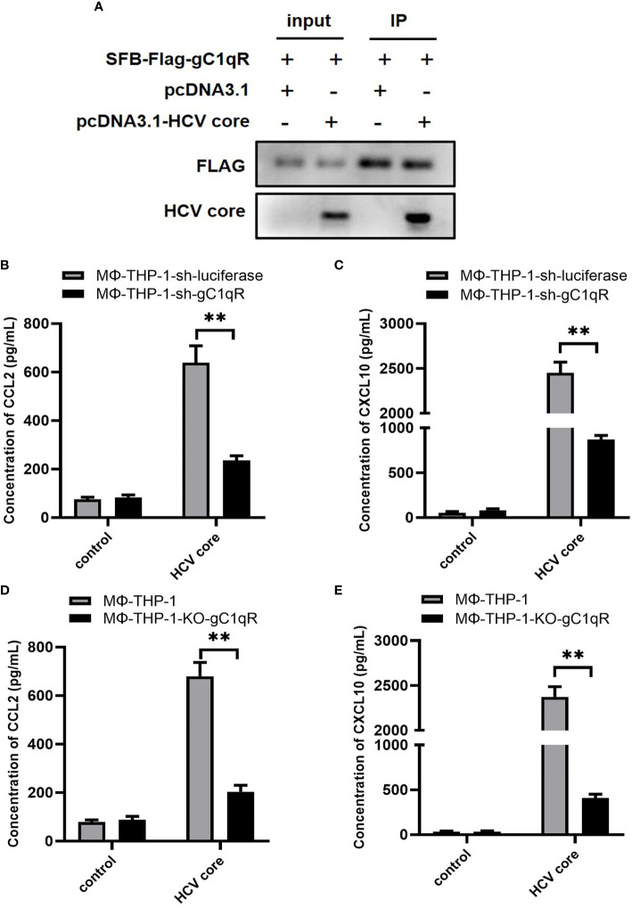 Figure 3