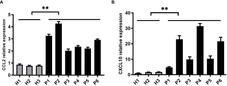 Figure 5