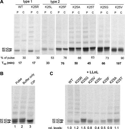 FIG. 5.