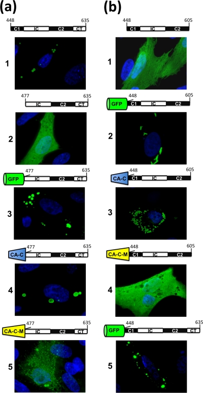 FIG. 6.