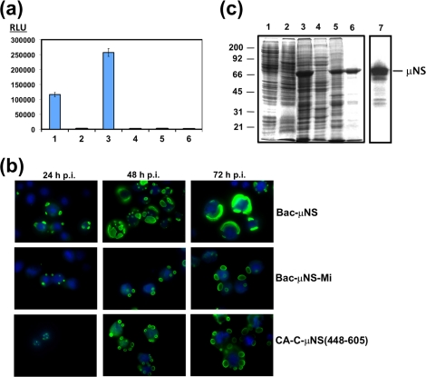 FIG. 2.