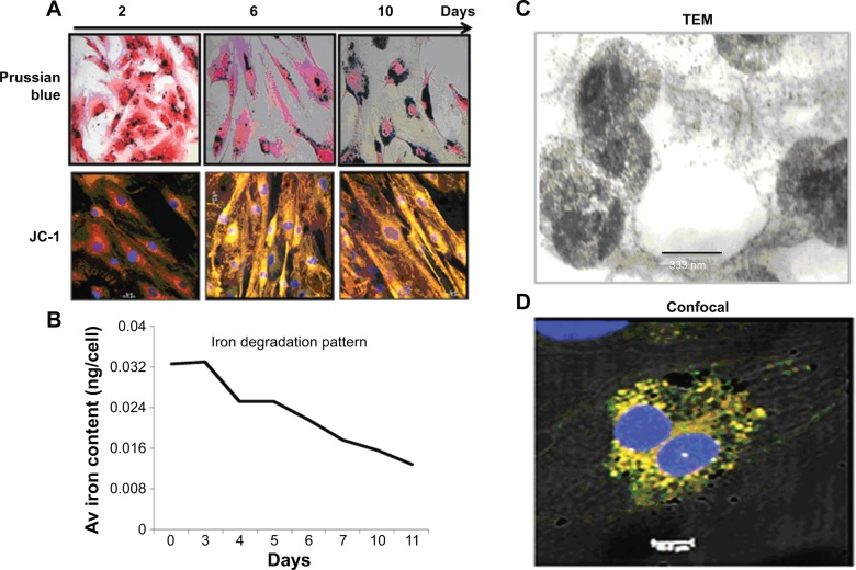 Figure 4