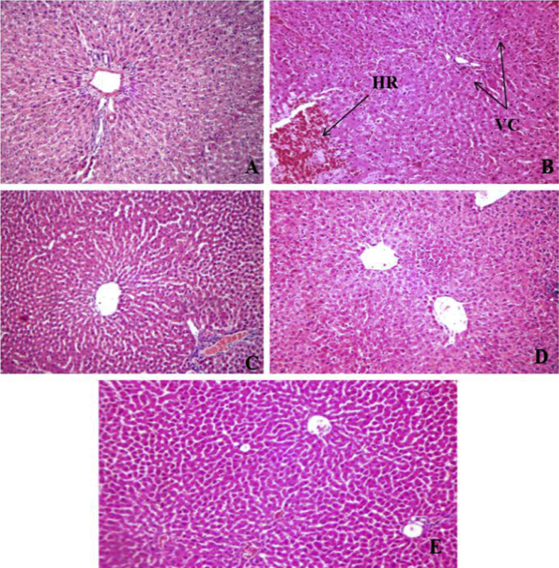 Fig. 4