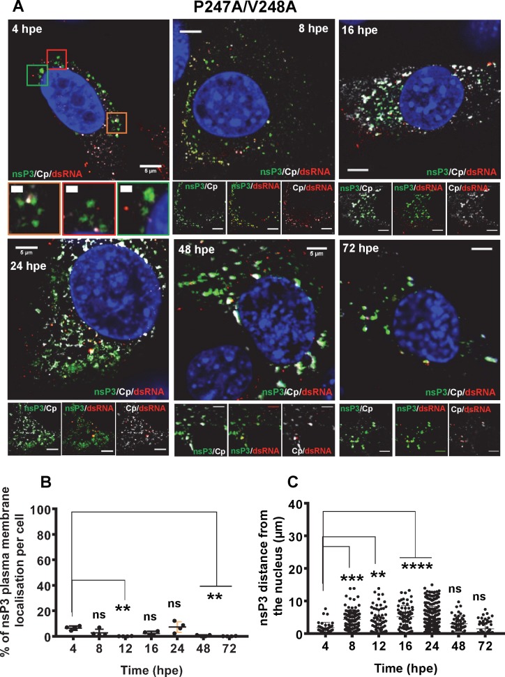 Fig 12