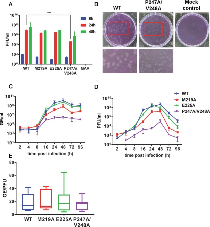 Fig 6