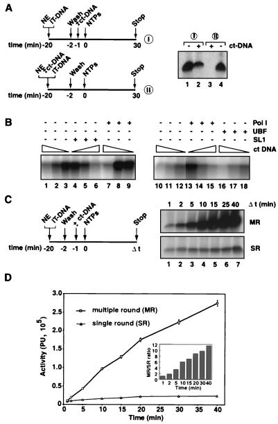 FIG. 5