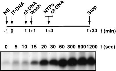 FIG. 7