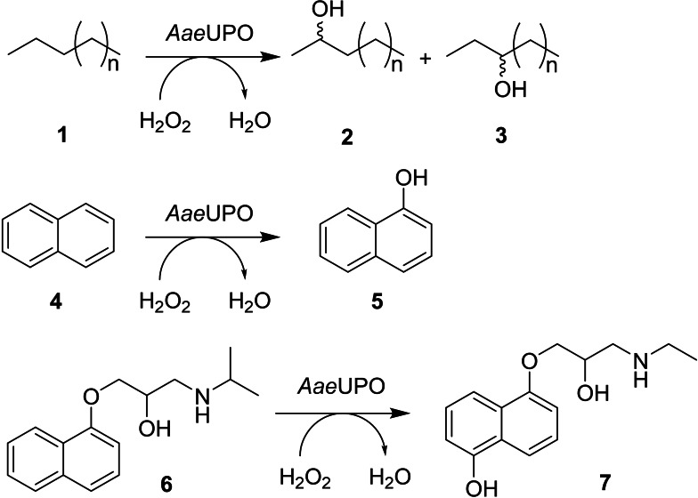 Scheme 1