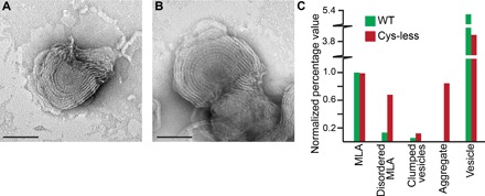 Fig. 5