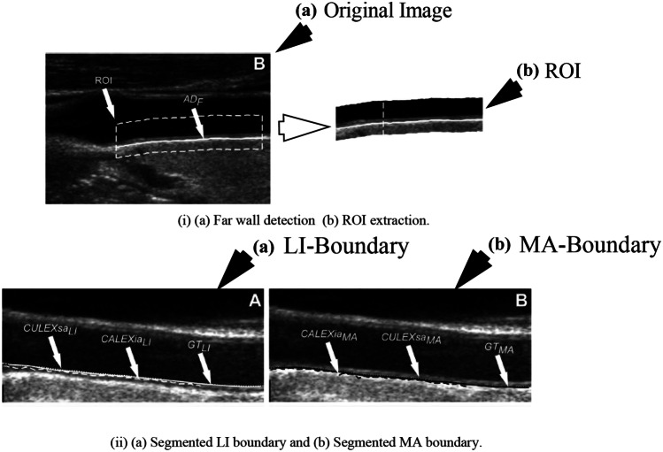 Fig. 5