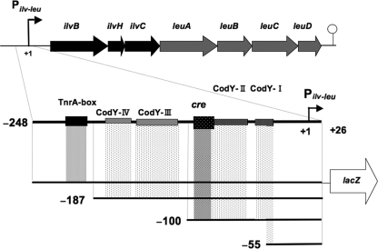 FIG. 1.