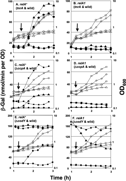 FIG. 2.