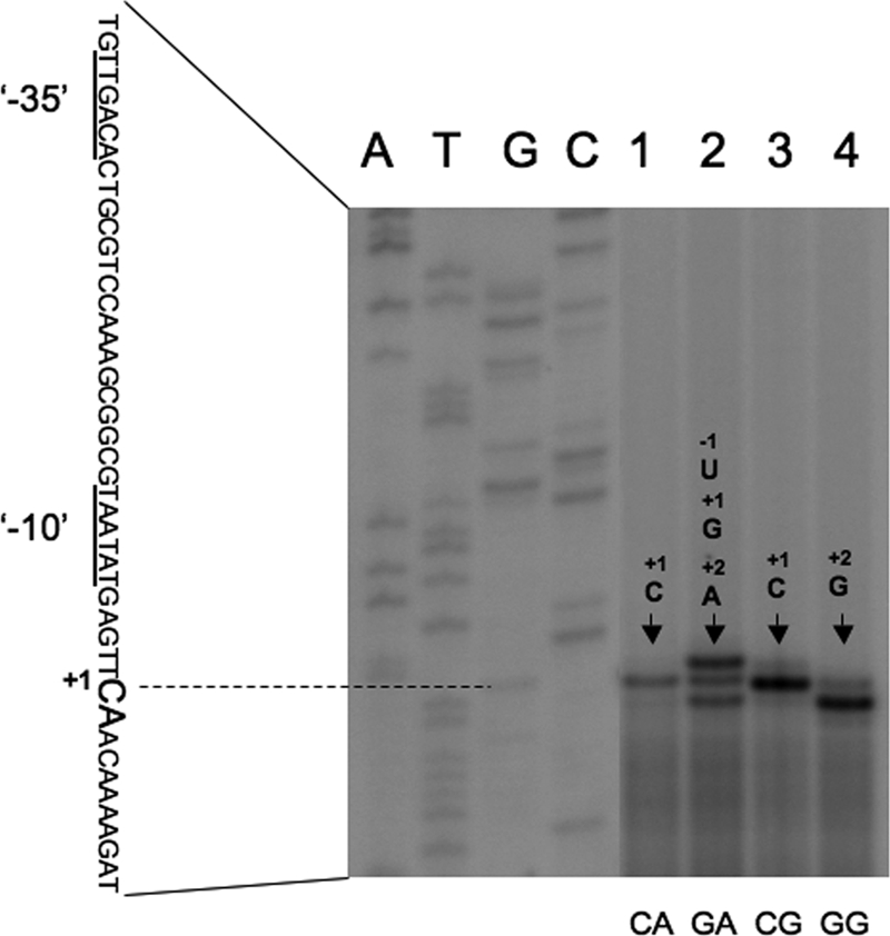 FIG. 7.