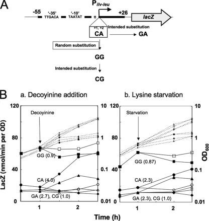 FIG. 6.